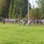 Jingle Bell Run Tampa 2013 Race Pics