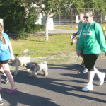 Jingle Bell Run Tampa 2013 Race Pics
