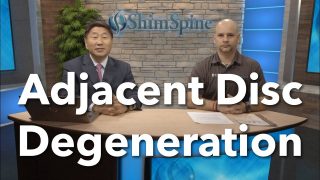 Update on Adjacent Segment Degeneration