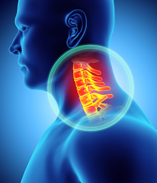 Cervical Spine Anatomy - ShimSpine