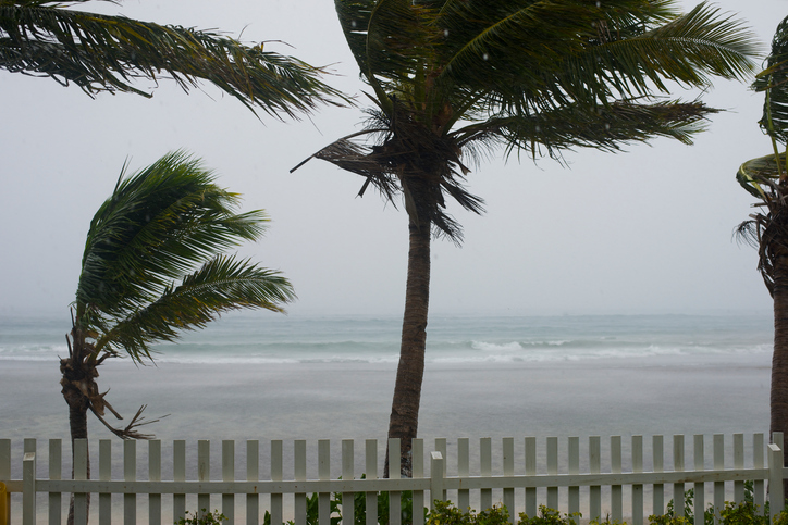 Can a Hurricane Blow out Your Back?