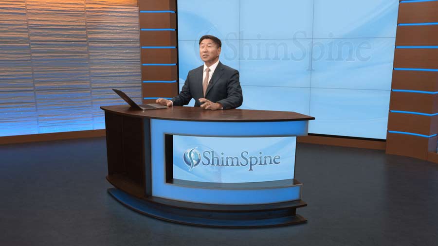 ShimSpine Studio