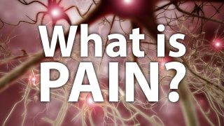 What Is Pain?