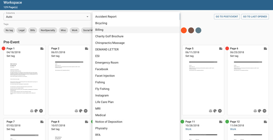 Case Chronology Workspace